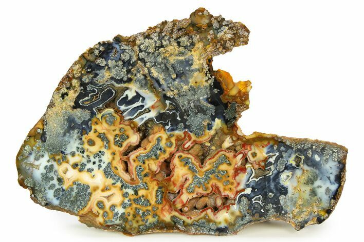 Colorful Polished Marcasite Agate Section - Indonesia #308129